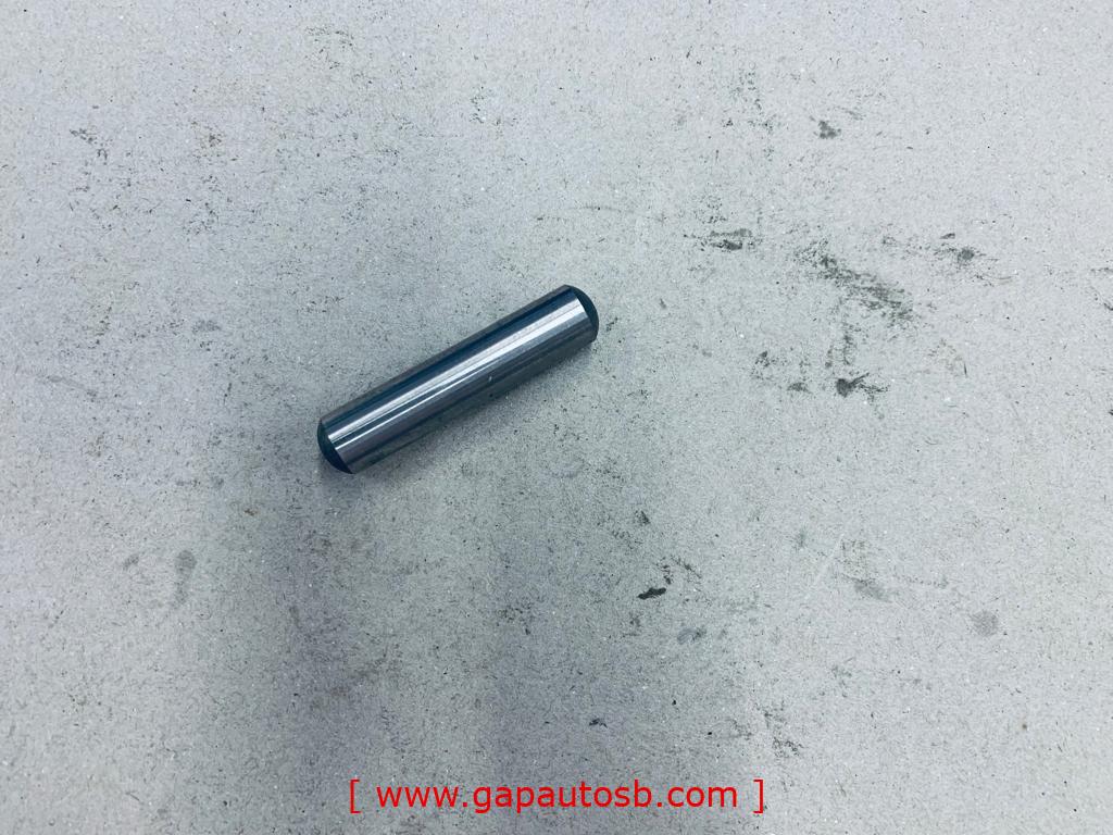 15081/1696446 FL10 REAR BRAKE SHOES PIN M13X59