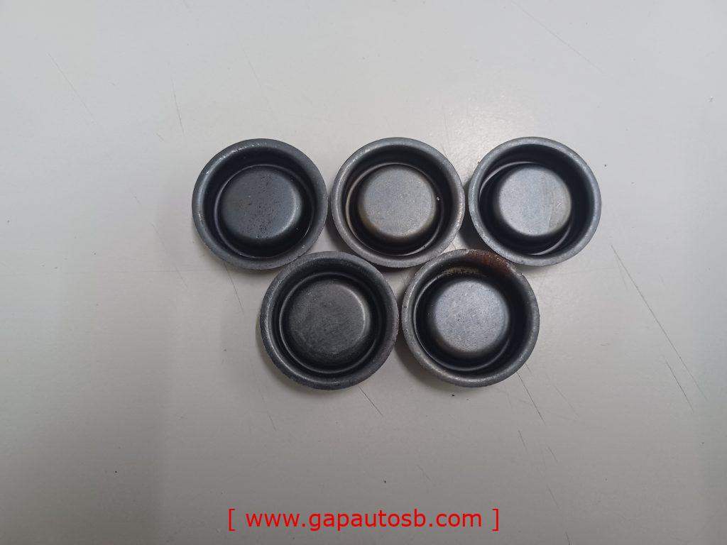 19057 BPW CALIPER PLUG COVER 1 16764598390556590743100255111168