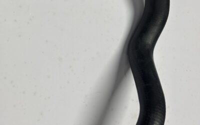 scania 113 by pass hose 1391795/156.085